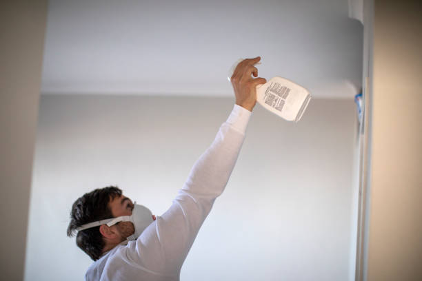 Best Home Mold Removal  in Gibbon, NE